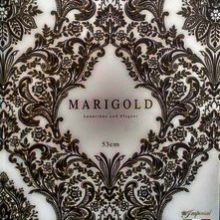 آلبوم کاغذ دیواری ماری گلد MARIGOLD