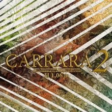 آلبوم کاغذ دیواری کارارا ۲ CARRARA
