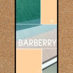 BARBERRY WALLPAPER