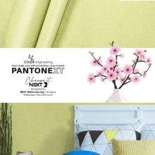 lettuce-green-wallpaper