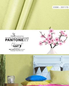 lettuce-green-wallpaper