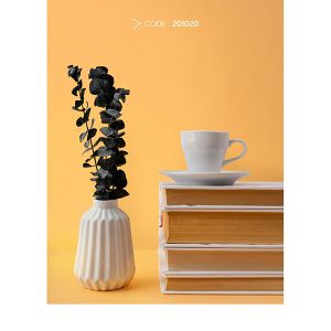 bold-peach-wallpaper