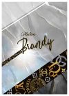 نمونه طرح‌های آلبوم کاغذ دیواری برندی BRANDY