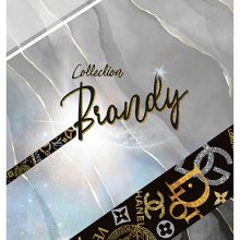 نمونه طرح‌های آلبوم کاغذ دیواری برندی BRANDY