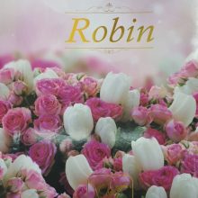 آلبوم کاغذ دیواری روبین ROBIN