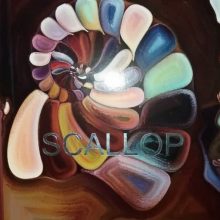 آلبوم کاغذ دیواری اسکالوپ SCALLOP